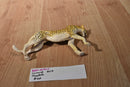 Lanard Jumanji 2019 Cheetah Action Figure