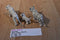 Schleich 2003 2007 White Tiger Family