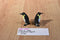 Schleich 1997 Two Emperor Penguins