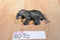 Schleich 2004 Female Asian Cow Elephant