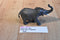 Schleich Male Bull Asian Elephant