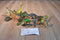 Vintage 16 pc Plastic Dinosaurs 1999 1996 1993 1986