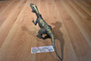 Mattel Jurassic World Roarivores Gray and Green Allosaurus 2017