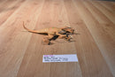 Hasbro 2105 Jurassic World Velociraptor Echo Action Figure