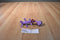 Spin Master Disney Pixar Monsters U Randall Boggs Action Figure