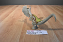 Hasbro 2015 Jurassic World Growler Dilophosaurus Dinosaur