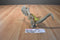 Hasbro 2015 Jurassic World Growler Dilophosaurus Dinosaur