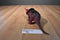 Dor Mei Like Red Triceratops Dinosaur