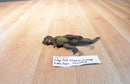AAA Vintage Allosaurus Dinosaur