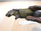 AAA Vintage Allosaurus Dinosaur