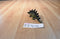 AAA Vintage Stegosaurus Dinosaur