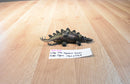 AAA Vintage Stegosaurus Dinosaur