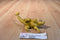 Vintage PVC Ankylosaurus Allosaurus Stegosaurus Dilophosaurus Dinosaurs