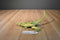 Vintage Green T-Rex Dinosaur