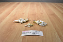 Fairy Garden Kangaroo Family Animal Action Figures
