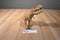 Hasbro 2015 Jurassic World Chomping T-Rex Action Figure