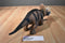 Toys R Us Maidenhead Triceratops Rubber Action Figure