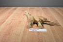 Major Trading 2012 Brachiosaurus Dinosaur Action Figure