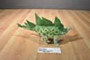 Kenner 1993 Jurassic Park Battle Wound Stegosaurus JP07 Action Figure