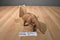 Mattel Jurassic Park 2021 Tan Pentaceratops Action Figure