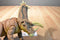 Mattel Jurassic Park 2021 Tan Pentaceratops Action Figure