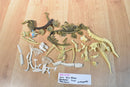 Miscellaneous Dinosaur Bones