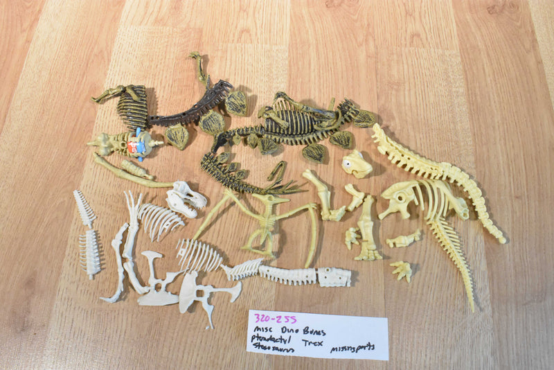 Miscellaneous Dinosaur Bones