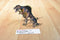 Toy Major Trading 2006 Spinosaurus and Baby Dinosaur Action Figures