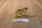 Toy Major Trading 2007 Velociraptor Dinosaur Action Figure