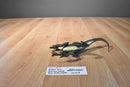Hasbro 2015 Jurassic World Velociraptor Blue