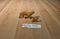 Safari Ltd. Female Siberian Tiger and Schleich 2003 Male Tiger Cub