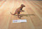 Vintage Chinasaur Pachycepholosaurus Dinosaur Action Figure