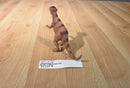 Vintage Chinasaur Pachycepholosaurus Dinosaur Action Figure