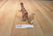 Vintage Chinasaur Pachycepholosaurus Dinosaur Action Figure