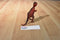 Vintage Chinasaur Dilophosurus Dinosaur Action Figure
