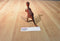 Vintage Chinasaur Dilophosurus Dinosaur Action Figure