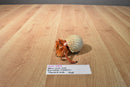 Safari LTD. 2006 Incredible Creatures Hermit Crab