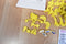 Milton Bradley Cootie Games 1999 Cootie Game