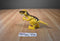 Hasbro 2015 Playskool Heroes Chompers Velociraptor Dinosaur