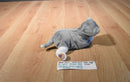 Hasbro Fur Real Newborn Grey and White Kitten 2009