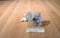 Hasbro Fur Real Newborn Grey and White Kitten 2009