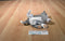 Hasbro Fur Real Newborn Grey and White Kitten 2009
