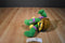 Kid Power Nelvana Talking Franklin 1996 Plush