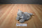 Hasbro FurReal Grey  Kneading Purring Cat 2002
