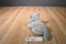 Hasbro FurReal Grey  Kneading Purring Cat 2002