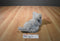 Hasbro FurReal Grey  Kneading Purring Cat 2002
