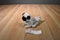 Hasbro FurReal Tan and Black Pug Puppy 2008