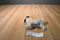 Hasbro FurReal Tan and Black Pug Puppy 2008