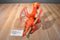 Fisher Price 2012 Imaginext Red Winged Eagle Talon Castle Dragon