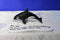 4D Fame Master Sea Animal Orca Killer Whale Puzzle